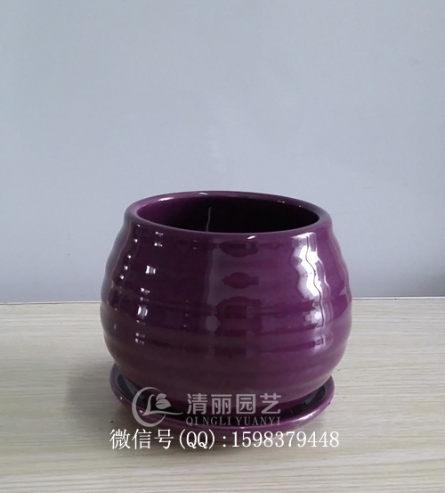 紫色小花盆