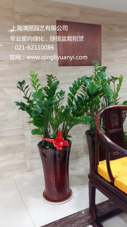 Ǯ԰գwww.qingliyuanyi.com