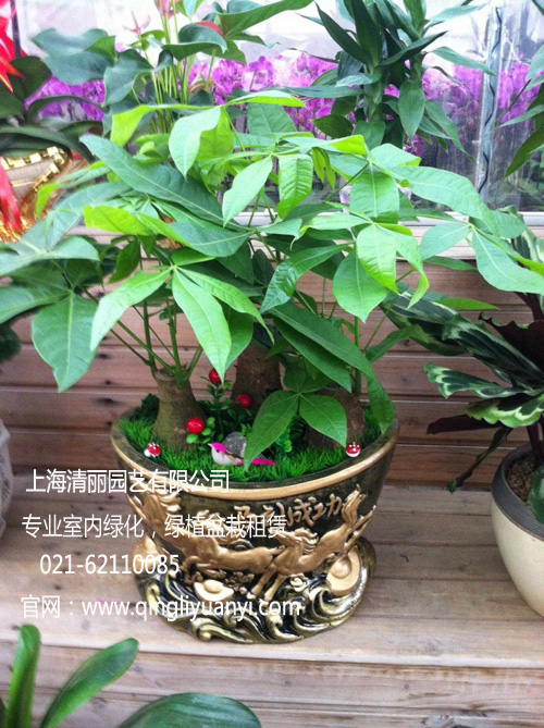 辰ֲ